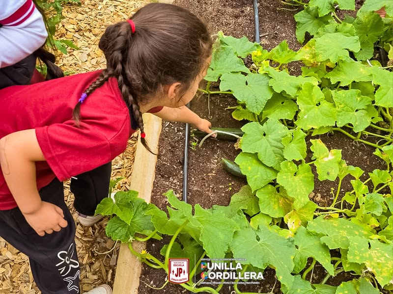 ¡Grandes noticias para nuestra comunidad! 🌟