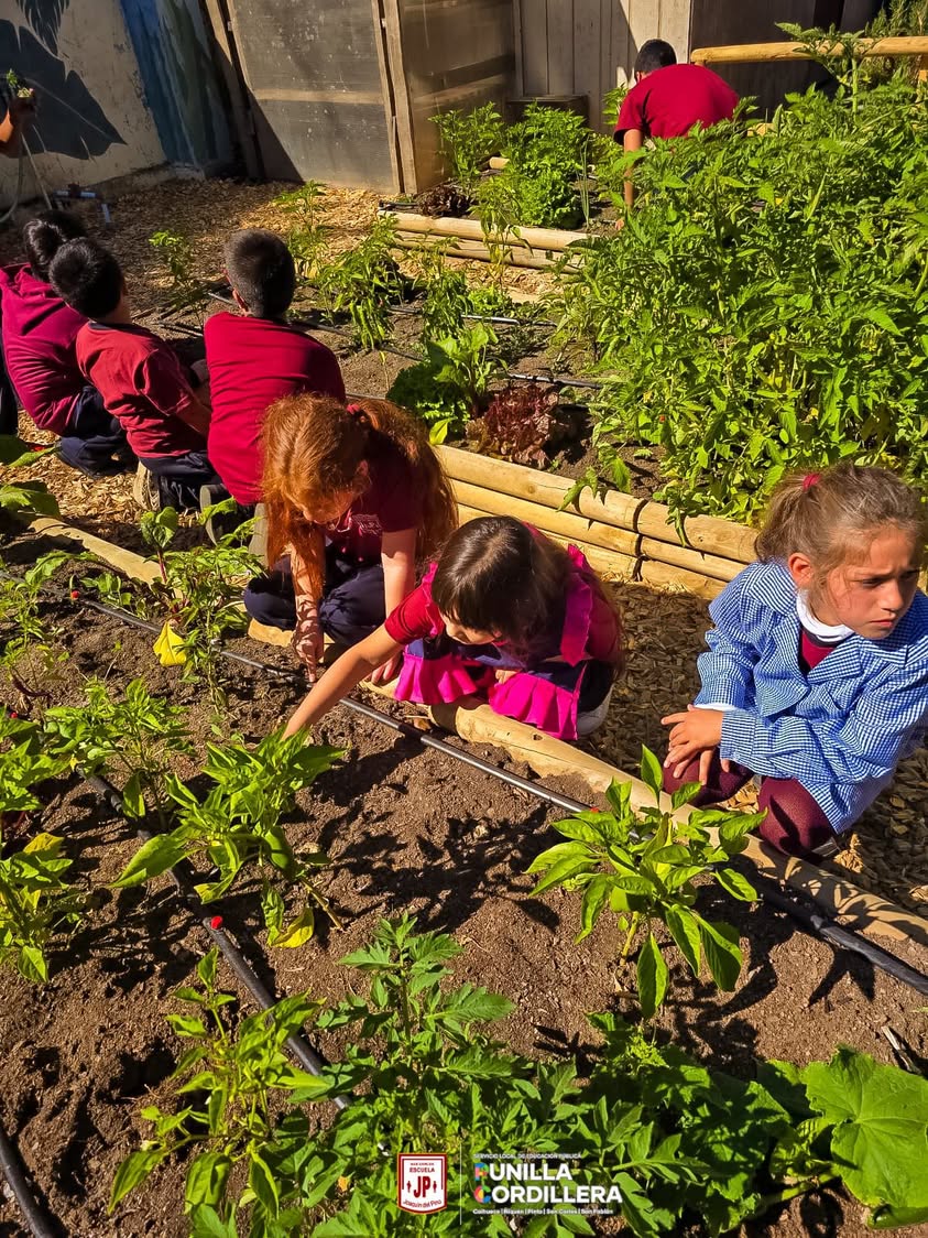 🌱 ¡Sembrando Futuro en la Escuela Joaquín del Pino! 🌿