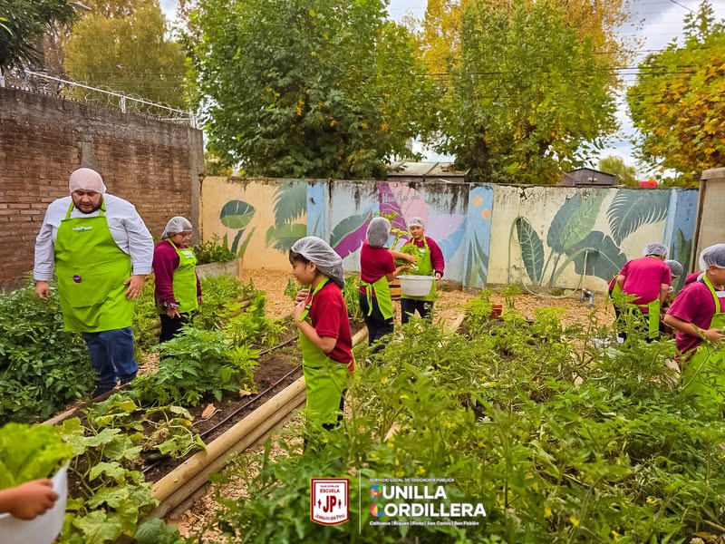 Programa Nutriendo Futuro: Cocina y Nutrición en el Aula 🏫 🍎