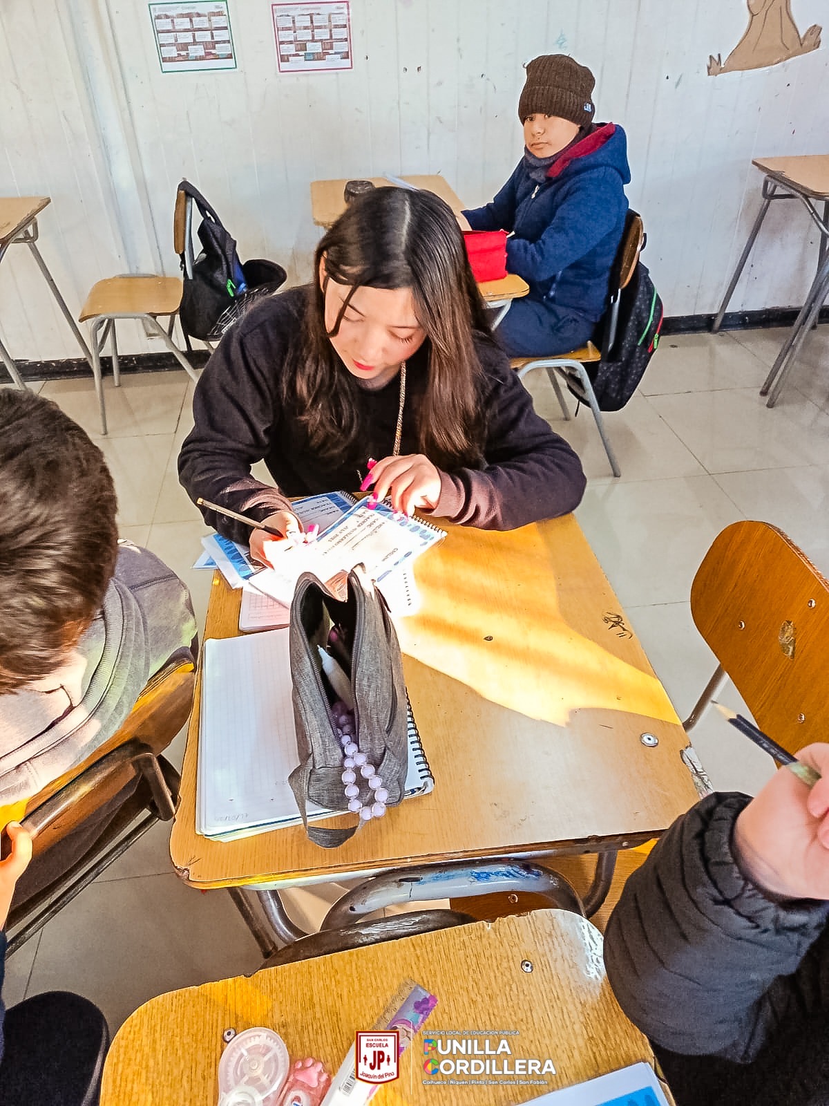 Proyecto de Innovación Pedagógica Área Escritura en Inglés