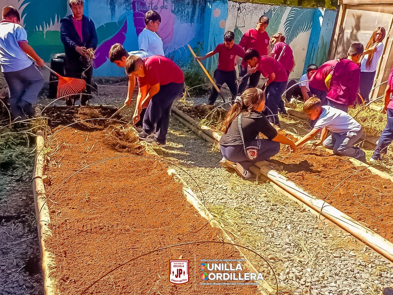 ¡Descubre el poder de la naturaleza en la Escuela Joaquín del Pino! 🌿🥕🌻